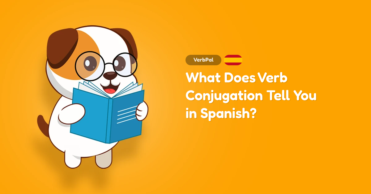 What Does Verb Conjugation Tell You in Spanish?