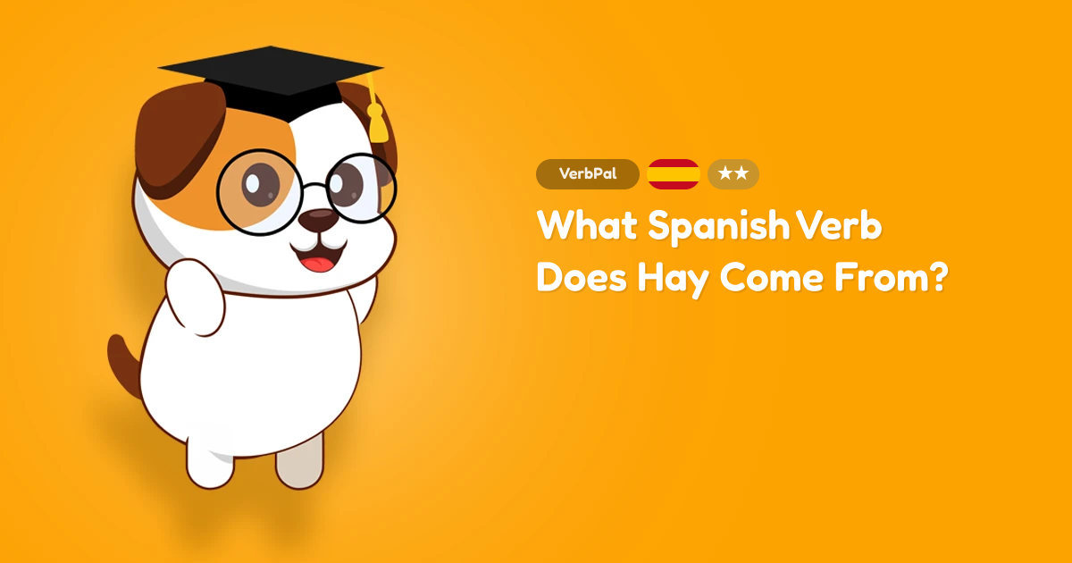 What Spanish Verb Does Hay Come From?
